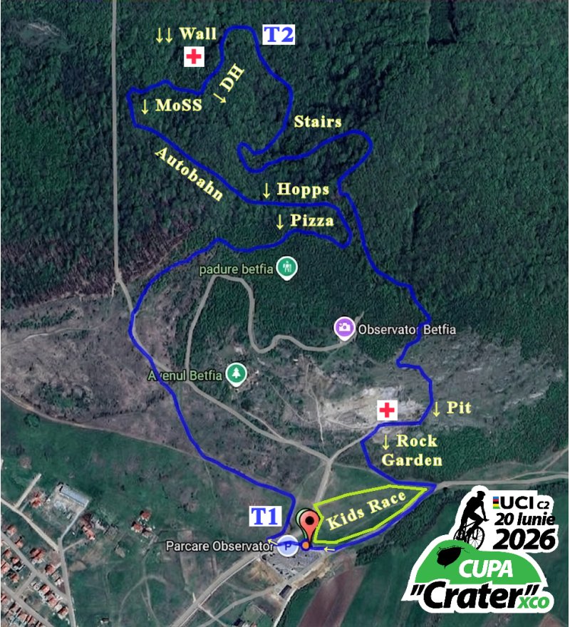 XCO%20Harta%20Logo XCO%20Harta%20Logo